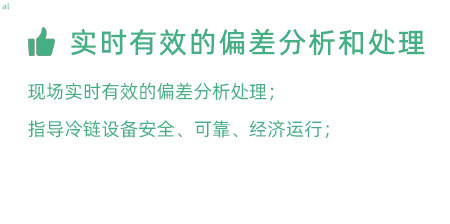 實(shí)時(shí)有效的偏差分析和處理：實(shí)時(shí)有效的偏差處理； 指導(dǎo)冷鏈設(shè)備安全、可靠、經(jīng)濟(jì)運(yùn)行；